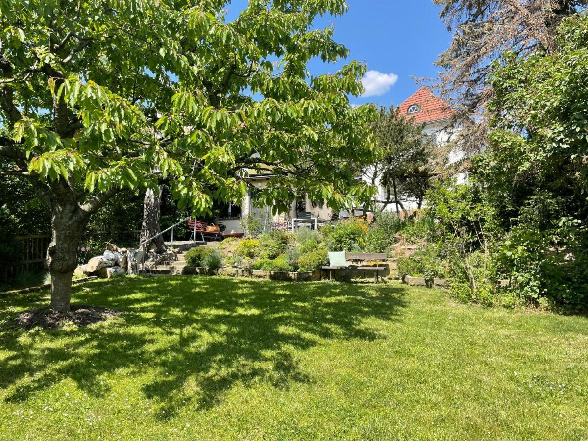 Haus Welzel Villa Drezda Kültér fotó